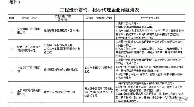 工程造價(jià)咨詢、招標(biāo)代理企業(yè)問(wèn)題列表