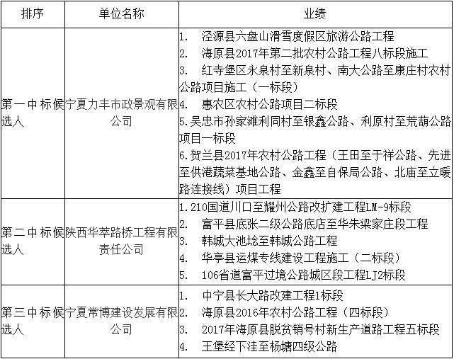 中標候選人在投標文件中填報的項目業(yè)績