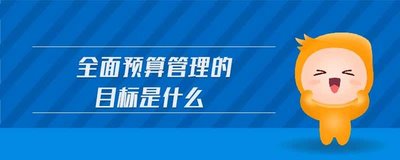 全面預算管理的目的是什么？